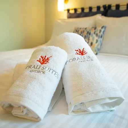 Corali Suites Andros Batsi  Exterior photo